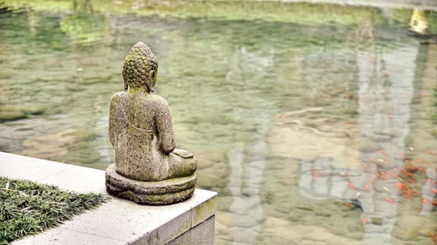 Cửa ải về sinh mệnh là một trong những sự kiếm quan trọng nhất của đời người, ngộ ra được bạn sẽ thấy Shbet16 chơi game trực tuyến thênh tháng và nhẹ nhõm. (Ảnh minh họa)