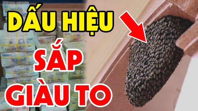 5 con vật vào nhà chứng tỏ giàu có