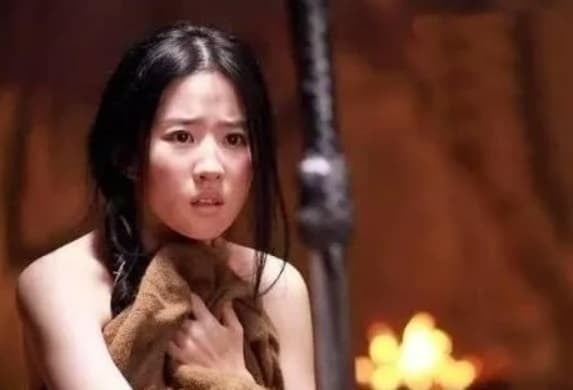 Ngoài ra, trong một số cuộc chinh phạt, binh lính còn được 