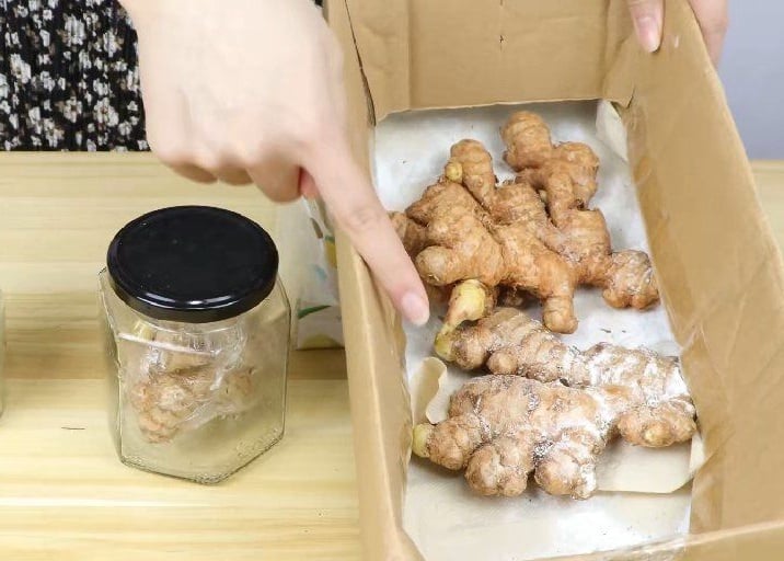 Bảo quản gừng trong cát khô – Cách dân gian cực hiệu quả    