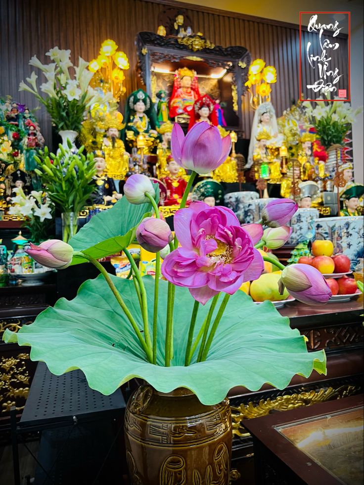 Hoa sen mang ý nghĩa thanh tịnh rất thích hợp cho rằm tháng 6