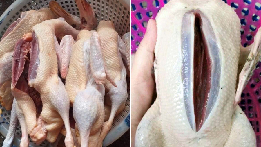 Khi chọn thịt vịt, bạn nên chọn thịt có độ đàn hồi tốt, không bị nhớt, không có mùi lạ.