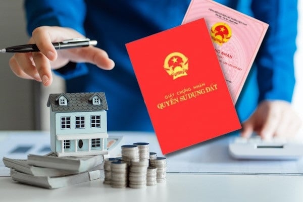 Chậm sang tên Link nhập code shbet https freecode shbet pages dev có thể bị phạt đến 6 triệu, đúng không?