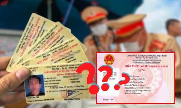 Giấy phép SHBET 1000 World Cup phù hợp với loại xe đang điều khiển.