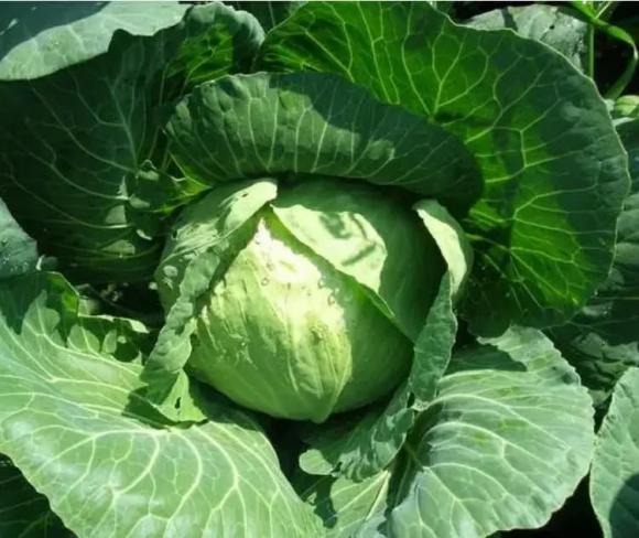 Vậy, làm sao để hạn chế đường trong khẩu phần ăn hằng ngày? 