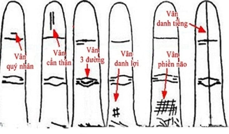 Ngón áp út có một đường vân ngắn chạy song song với khớp giữa đốt thứ nhất và thứ hai được gọi là vân Sh88bet link truy cập World Cup. 