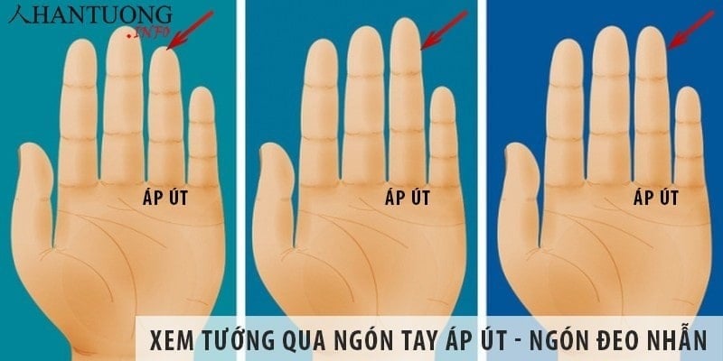 Trường hợp ngón áp út có ba đường vân nằm ở đốt thứ hai và thứ ba, đây là dấu hiệu của người có tiềm năng phát triển mạnh mẽ trong sự nghiệp, đặc biệt là từ trung vận trở đi.    