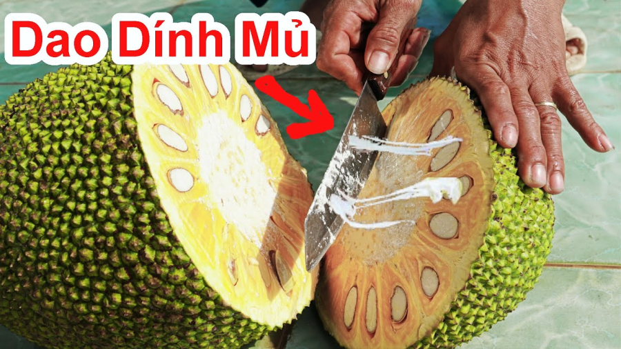 Bổ mít cứ lấy sẵn thứ này ngoài vườn, chẳng phải lo dính nhựa