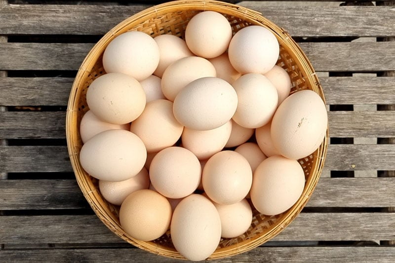 Trứng gà là thực phẩm giàu dinh dưỡng, chế biến đơn giản, ngon, dễ ăn