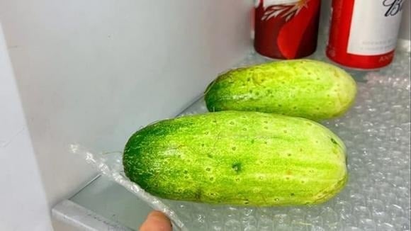 Trước hết, tôi muốn nhắc đến những loại cây có khả năng lọc không khí hiệu quả, rất phù hợp để trồng trong nhà.