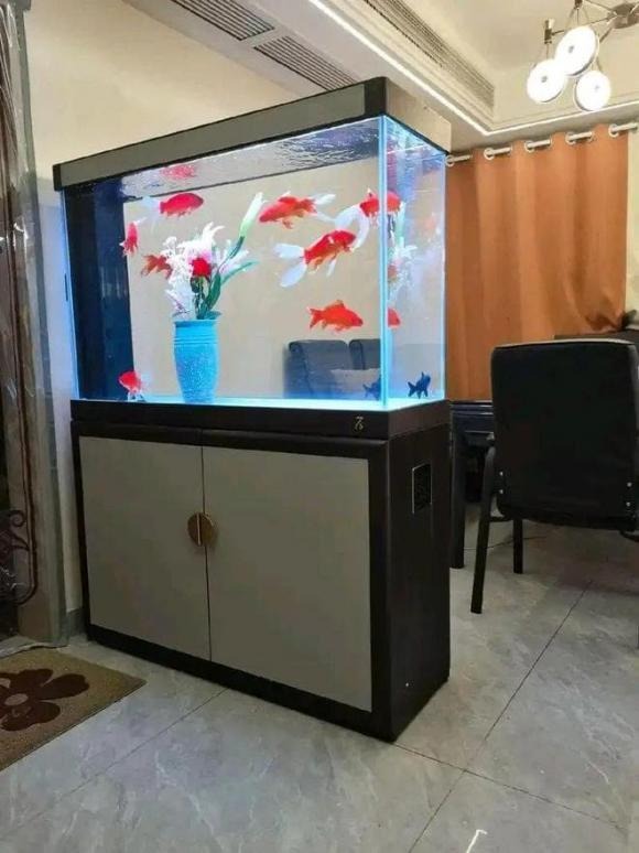 Khi nhắc đến bể cá, nhiều người thường nghĩ ngay đến ý nghĩa “nước tượng trưng cho sự giàu có”, nhưng thực tế nó còn mang nhiều giá trị hơn thế.    