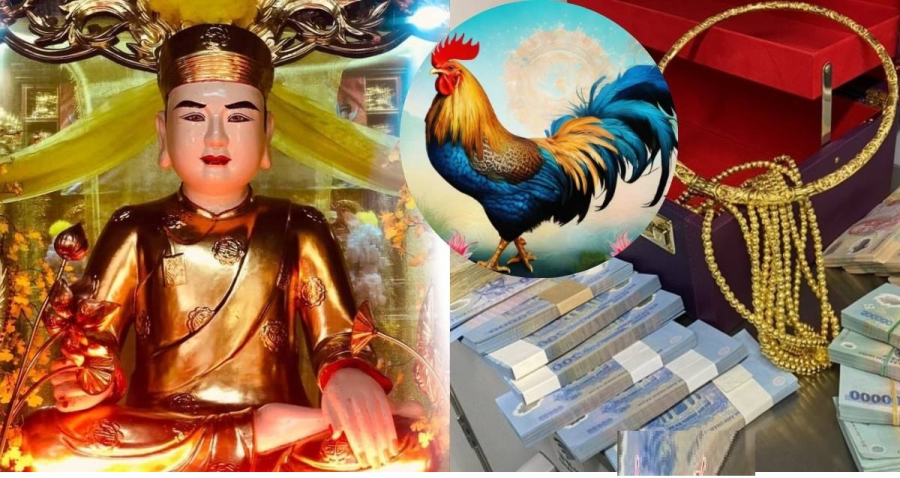 Tuổi Dậu từ lâu đã được biết đến là Shbet888.com nhà cái uy tín chăm chỉ, kiên trì và có trách nhiệm trong công việc. 