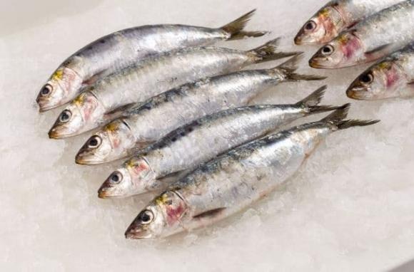Đáng chú ý, nhiều chuyên gia dinh dưỡng tại Mỹ khẳng định có một loại cá đặc biệt giàu dưỡng chất, xứng đáng có mặt thường xuyên trong bữa cơm Shbet111 slot, casino, thể thao, xổ số – đó là cá mòi.    