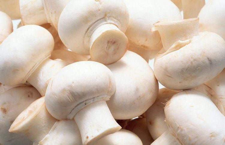 Nấm trắng tốt cho sức khỏe