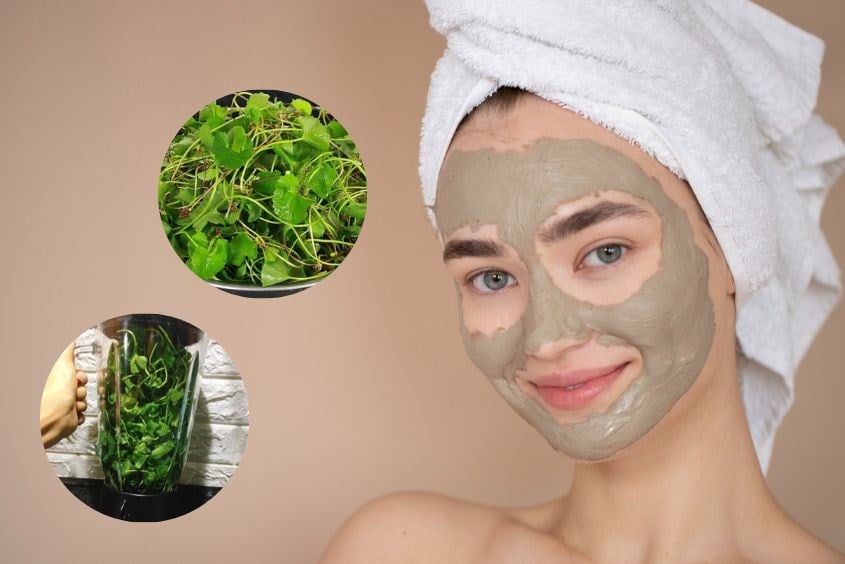 Uống nước rau má hoặc ăn kèm trong các món gỏi, salad là cách nhiều chị em lựa chọn để cải thiện Mừng SHBET phiên bản mới 2025. 