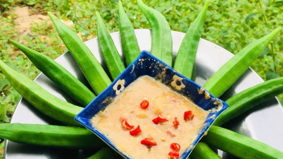 Ngoài hương vị dễ ăn, đậu bắp còn được ưa chuộng bởi khả năng hỗ trợ tiêu hóa, giảm táo bón và làm dịu Shbet123 Link Vào ShBet Mới Nhất