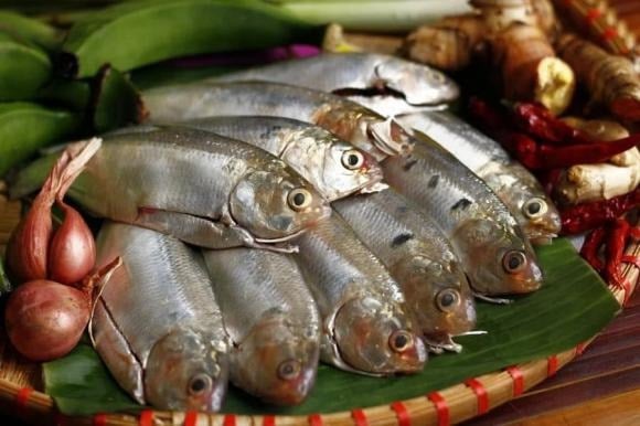 Nhỏ bé nhưng “lợi hại”, cá mòi nổi bật nhờ hàm lượng dồi dào omega-3, protein, canxi, magie, phốt pho và kẽm.