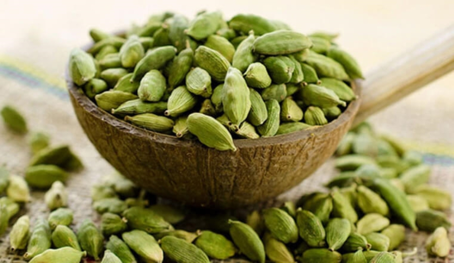 Hạt bạch đậu khấu