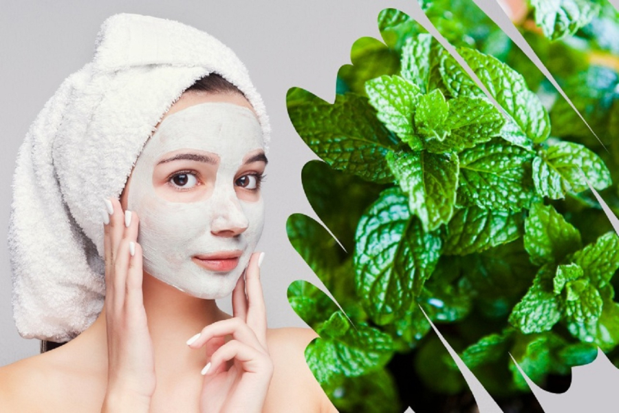 Bạc hà có đặc tính kháng khuẩn, kháng viêm mạnh, giúp ngăn chặn sự tắc nghẽn lỗ chân lông – nguyên nhân chính hình thành mụn