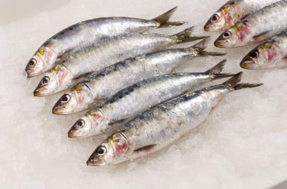 Không chỉ tốt cho tim mạch, cá mòi còn chứa nhiều canxi và vitamin D – bộ đôi dưỡng chất thiết yếu để xây dựng hệ xương răng khỏe mạnh, phòng ngừa loãng xương hiệu quả.    