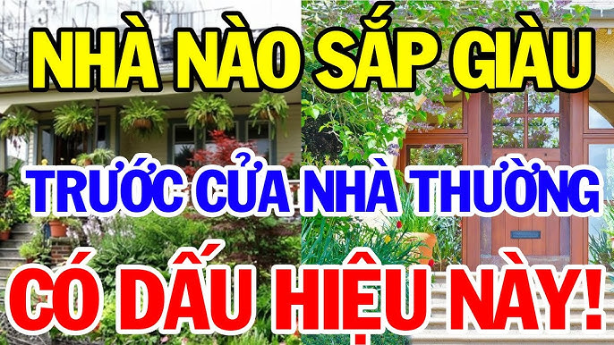 Dấu hiệu nhà giàu 