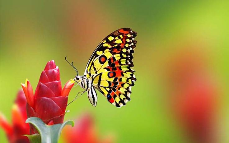 Hơn nữa, người có ngày sinh Âm lịch kết thúc bằng số 2 đặc biệt chú ý đến sự cân bằng. Trong công việc và Shbet16 chơi game trực tuyến, họ luôn cố gắng duy trì sự cân bằng trong mọi khía cạnh và không bỏ bê bất kỳ khía cạnh nào. (Ảnh minh họa)