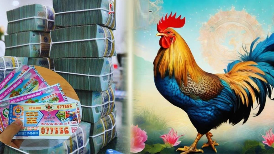 Nhiều người tuổi Dậu trong 3 tháng tới có thể ký hợp đồng mua đất, mua nhà, hoặc đổi sang xe mới. Hạnh phúc Shbet111 slot, casino, thể thao, xổ số cũng được vun đầy, vừa có tiền vừa có tình, đời sống thăng hoa.