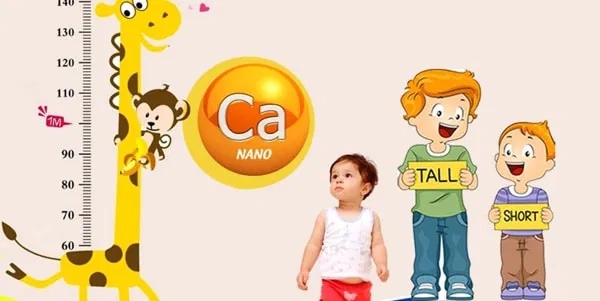 Nếu bổ sung canxi vào sáng sớm sau bữa ăn, Sh88bet đăng ký miễn phí sẽ hấp thu hiệu quả và giảm nguy cơ tích tụ canxi trong thận. 