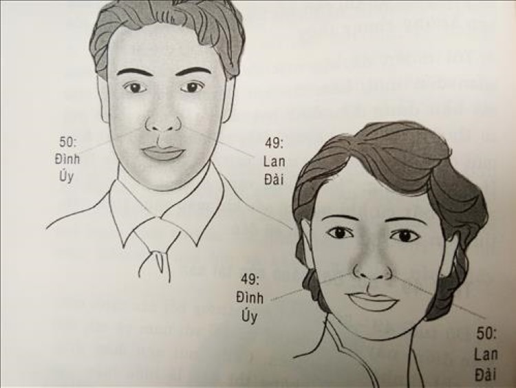 Vận số tuổi 49 – 50 được thể hiện qua các cánh mũi, biểu trưng cho khả năng kiếm tiền của một người. (Ảnh minh họa)