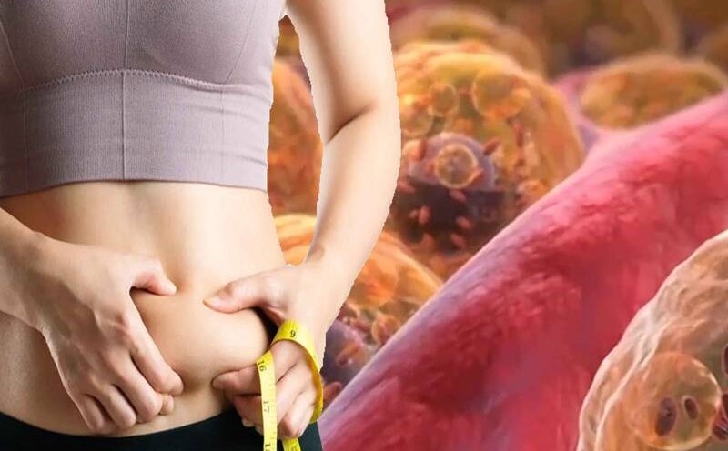 Việc giảm hoặc loại bỏ rượu và thuốc lá khỏi chế độ sinh hoạt cũng giúp giảm mỡ nội tạng. 