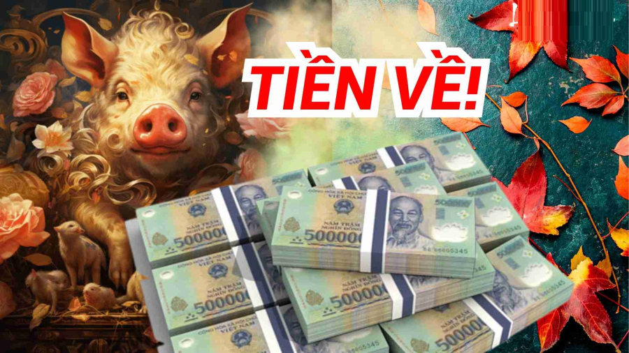 Người tuổi Hợi từ lâu đã được xem là Shbet888.com nhà cái uy tín mang số “phúc hậu”. 