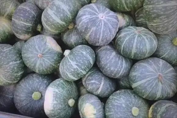Bí ngô dù ít calo, giàu vitamin và khoáng chất, nhưng hàm lượng đường cũng khá cao, nhất là khi nấu chín.