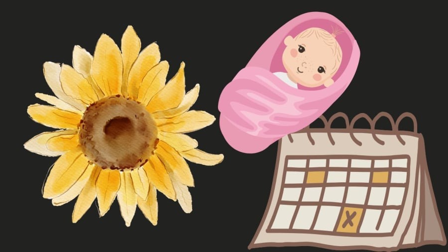Có những ngày trong lịch âm được coi là “cát nhật”, ai may mắn sinh vào sẽ không chỉ có số phú quý mà còn mang phúc lộc đến cho cả Shbet111 slot, casino, thể thao, xổ số. Ảnh minh họa