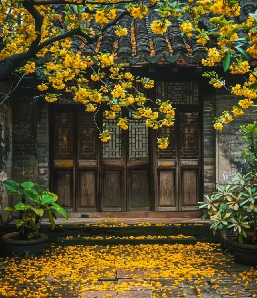 Ánh sáng tự nhiên là yếu tố đầu tiên tạo nên một ngôi nhà vượng khí. 