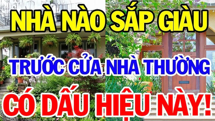 Dấu hiệu ngôi nhà sắp giàu có
