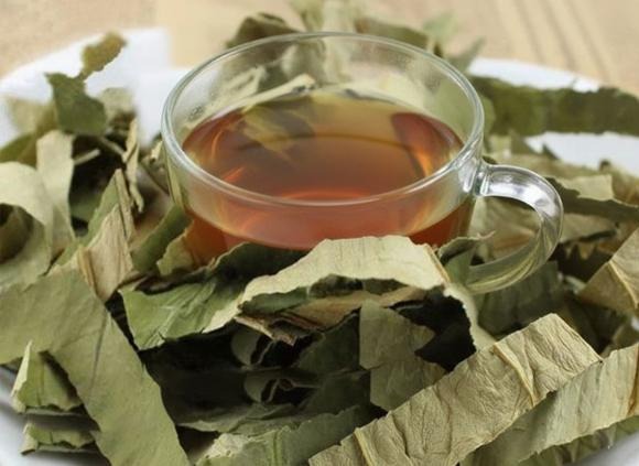 Trà lá mướp khô giúp làm sạch khoang miệng, giảm hôi miệng và ngăn ngừa viêm nướu.