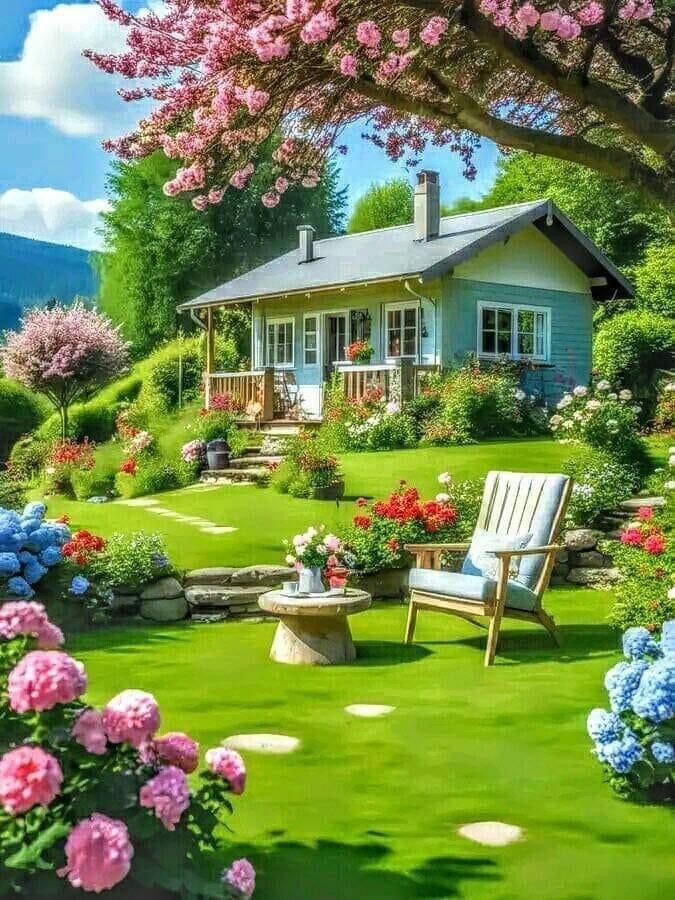 Cây trồng lâu năm không ra hoa bỗng dưng nở hoa là điềm lành