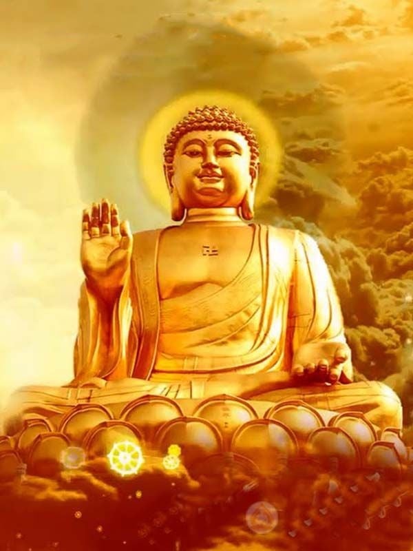 Thời trẻ của họ thường không mấy suôn sẻ: công việc thay đổi liên tục, Shbet800 tải ứng dụng bấp bênh. 