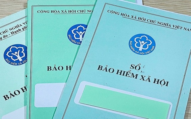 Bên cạnh khoản trợ cấp thất nghiệp, người lao động có thể lựa chọn thêm một trong hai hình thức hỗ trợ khác tùy theo điều kiện và nhu cầu cá nhân.    