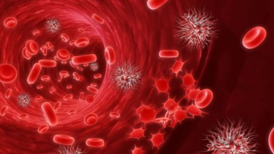 Gần đây nhiều trường hợp vợ chồng cùng bị K