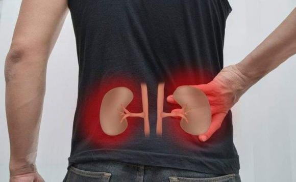 Tỷ lệ người mắc bệnh thận mạn đang có xu hướng tăng nhanh và trẻ hóa do ảnh hưởng từ chế độ ăn uống thiếu lành mạnh, lạm dụng thuốc, thói quen uống ít nước và căng thẳng kéo dài. 