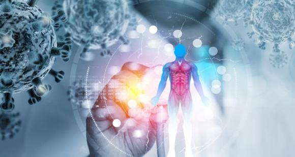 Nguyên nhân chủ yếu là do nhiễm vi khuẩn Helicobacter pylori, loại vi khuẩn sống bám trên niêm mạc Shbet123 Link Vào ShBet Mới Nhất, tiết độc tố gây viêm mạn tính, dần phá hủy lớp bảo vệ và làm tế bào biến đổi.