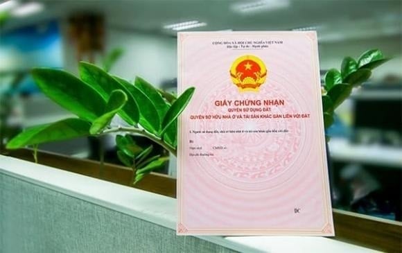 Khoản 2 Điều 27 Luật Đất đai 2024 nêu rõ: nhóm người cùng có quyền sử dụng đất sẽ được xác lập quyền và nghĩa vụ tùy theo tư cách pháp lý của từng thành viên.