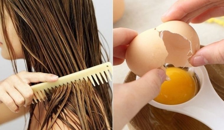 Trứng gà lại là nguồn cung cấp protein tự nhiên dồi dào, đặc biệt là albumin trong lòng trắng, có khả năng bổ sung và tái tạo phần cấu trúc tóc bị tổn thương.