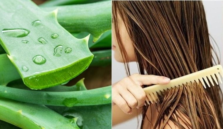 Gel nha đam chứa các hoạt chất kháng viêm tự nhiên, giúp làm dịu da đầu bị kích ứng, viêm nhiễm hoặc tổn thương do hóa chất.