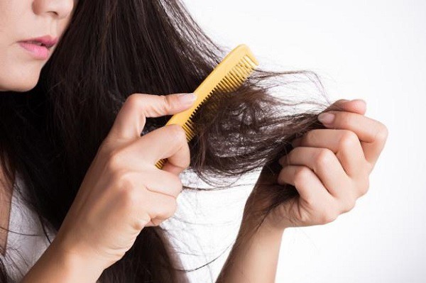 Khi tiết trời trở nên khô hanh, không khí sẽ hút đi lượng ẩm tự nhiên trong tóc và da đầu