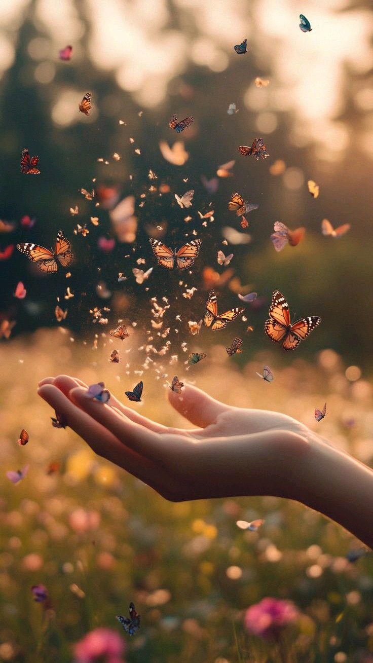 Đừng vướng mắc với những gì mình đã giúp người, kẻo lòng tốt lại thành sự trói buộc chính ta