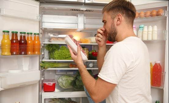 Hai cánh cửa tủ lạnh có đai cao su, nếu lâu ngày không vệ sinh, bụi bẩn tích tụ sẽ trở thành nguồn chính gây mùi hôi. 