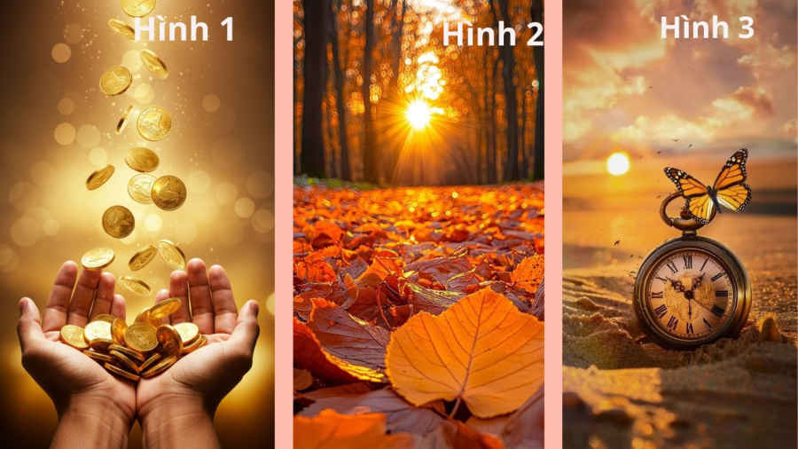 Bạn bị thu hút bởi hình ảnh nào nhất?