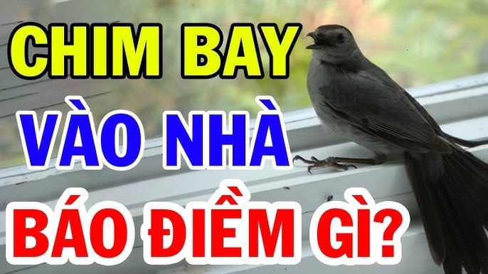 Con vật may mắn  